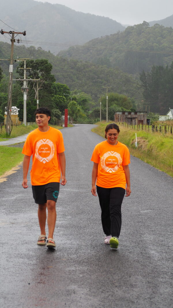 Adults Hokianga Sunset Tee - Image 2